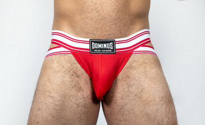 Dominus HyperFlex Brief