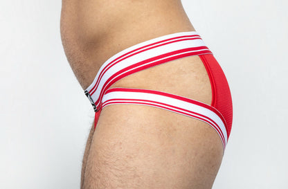 Dominus HyperFlex Brief