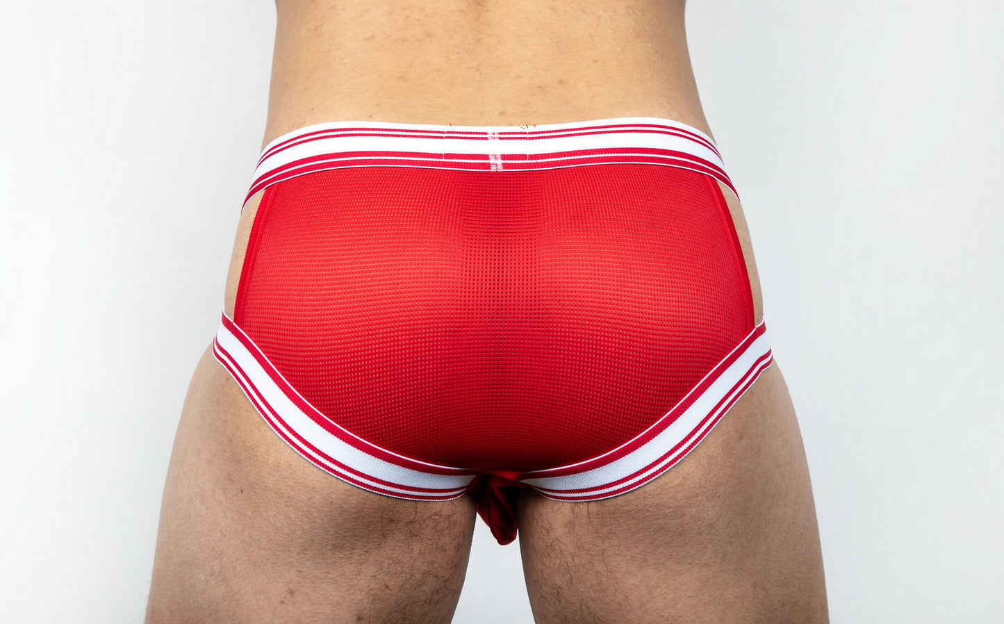 Dominus HyperFlex Brief