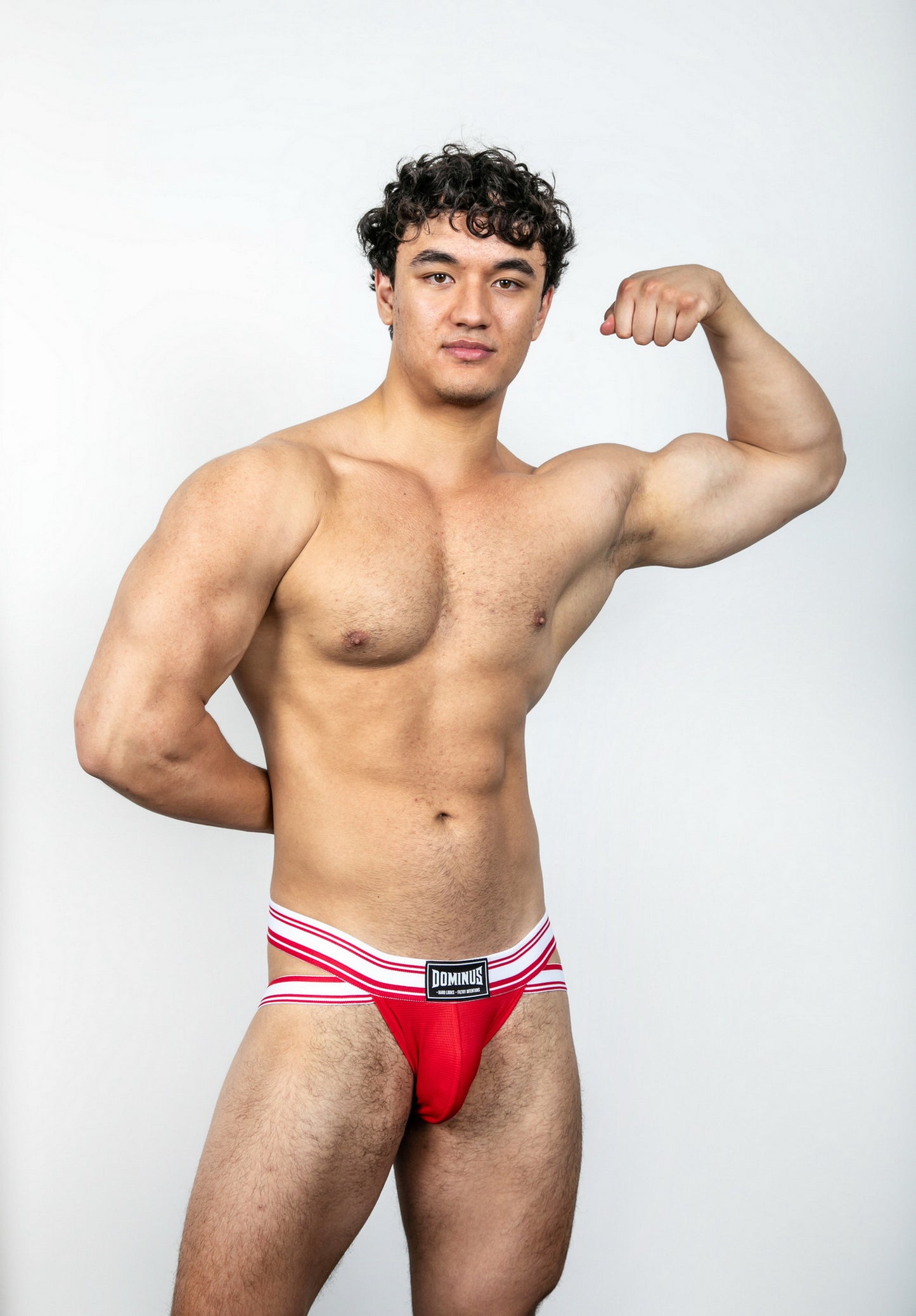 Dominus HyperFlex Brief