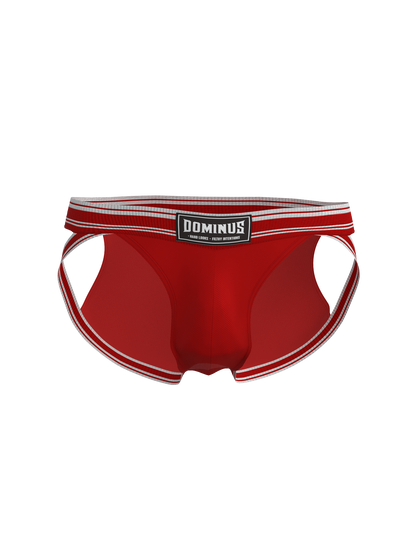 Dominus HyperFlex Brief