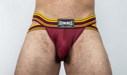 Dominus HyperFlex Brief