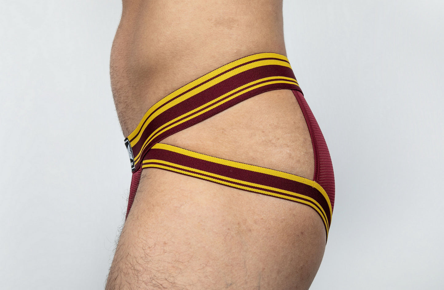 Dominus HyperFlex Brief