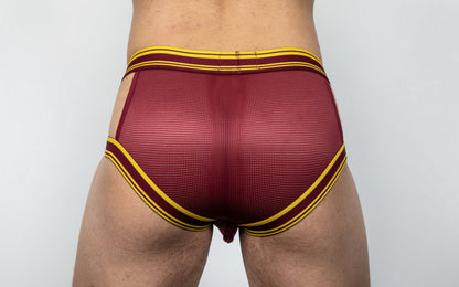 Dominus HyperFlex Brief