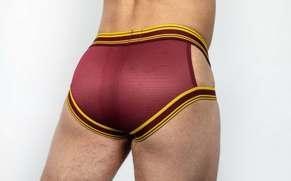 Dominus HyperFlex Brief