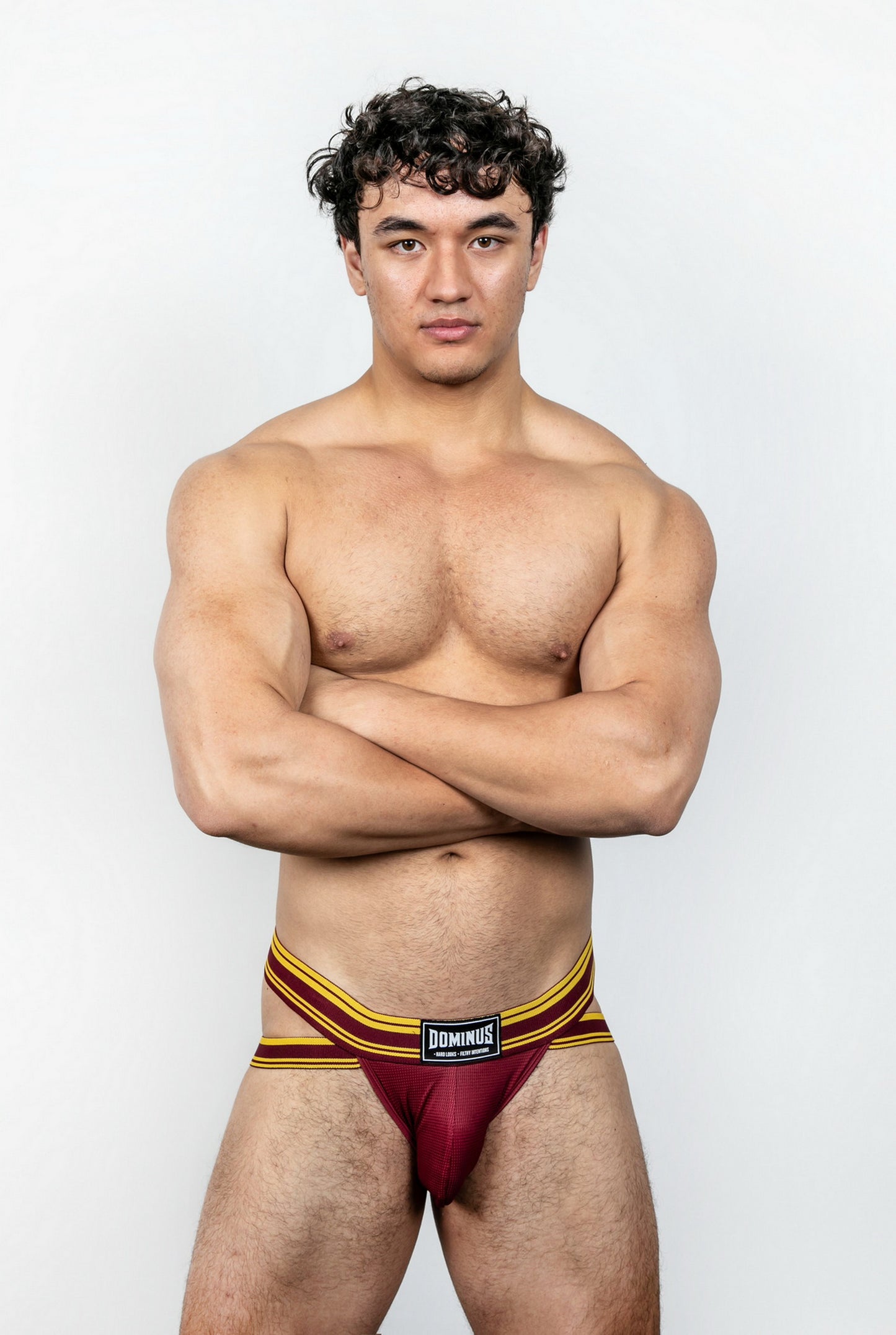 Dominus HyperFlex Brief