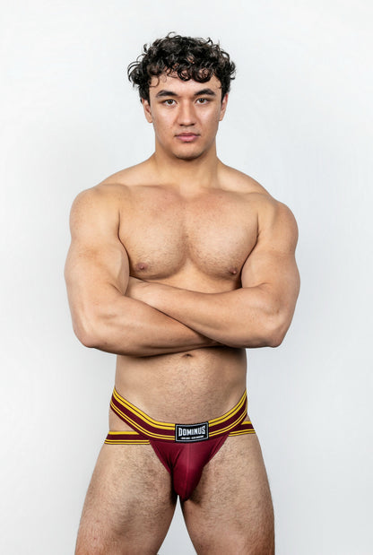 Dominus HyperFlex Brief