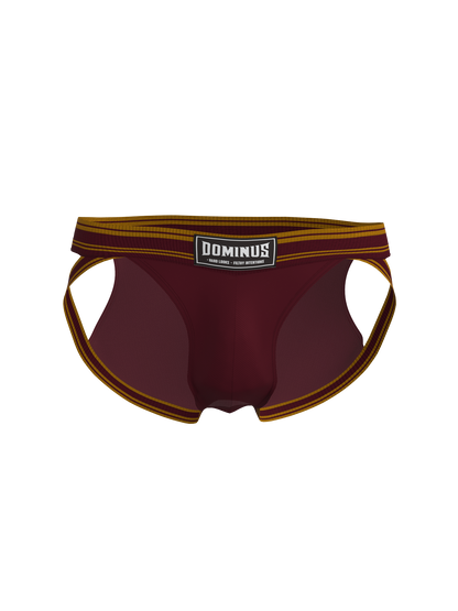 Dominus HyperFlex Brief