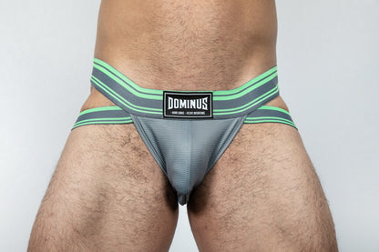 Dominus HyperFlex Brief