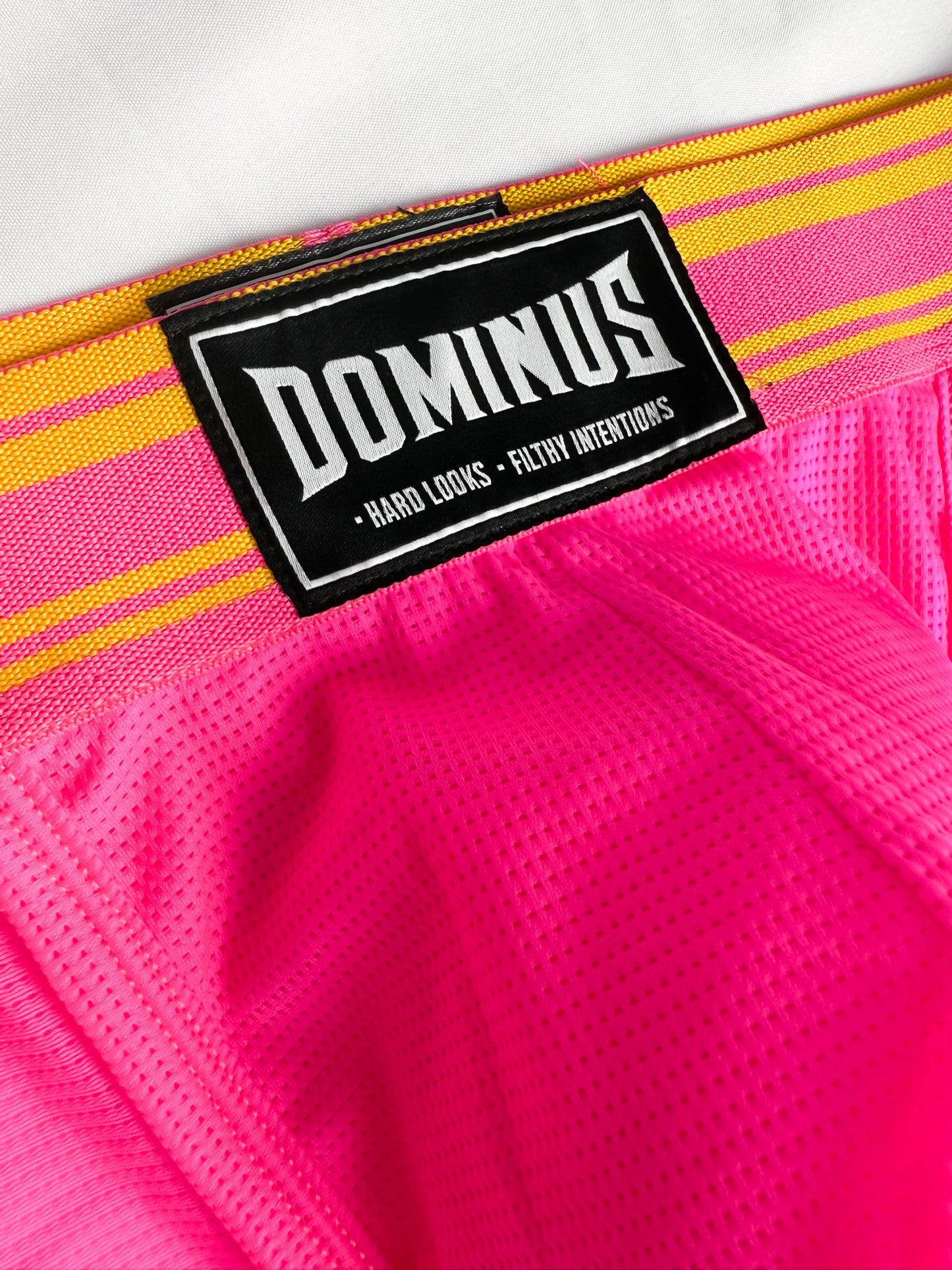 Dominus HyperFlex Brief