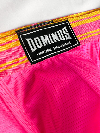 Dominus HyperFlex Brief