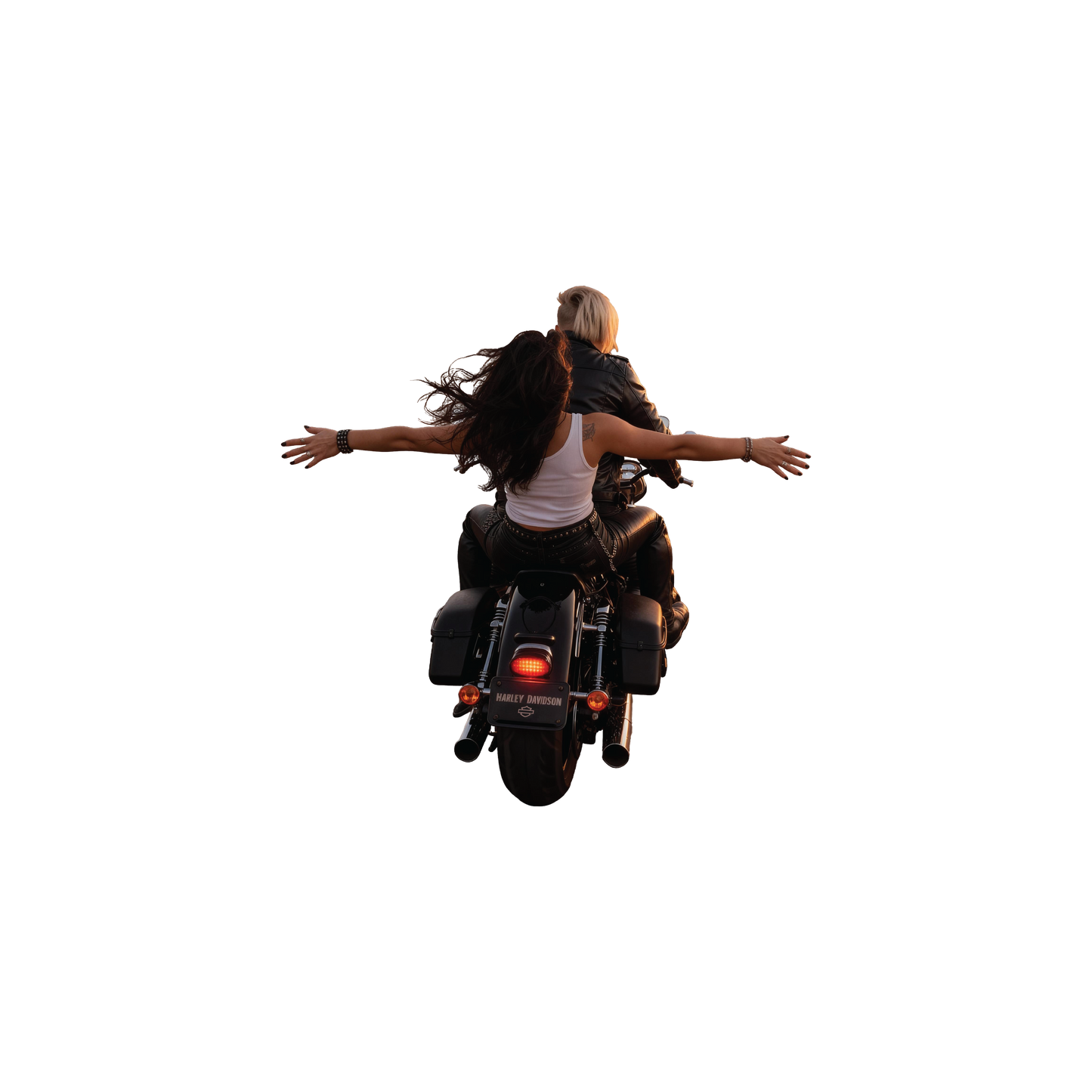 Girl Rider Crop Top