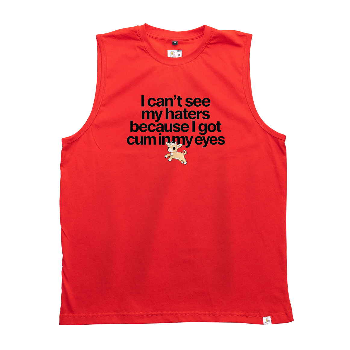 I can't see my haters Tank Top