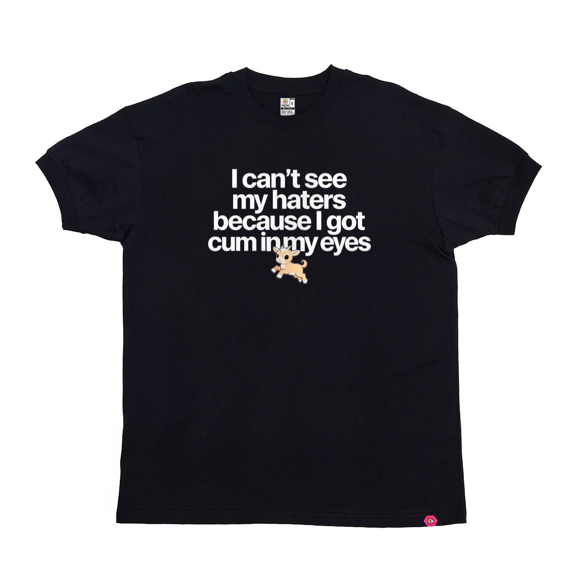 I can't see my haters T-Shirt