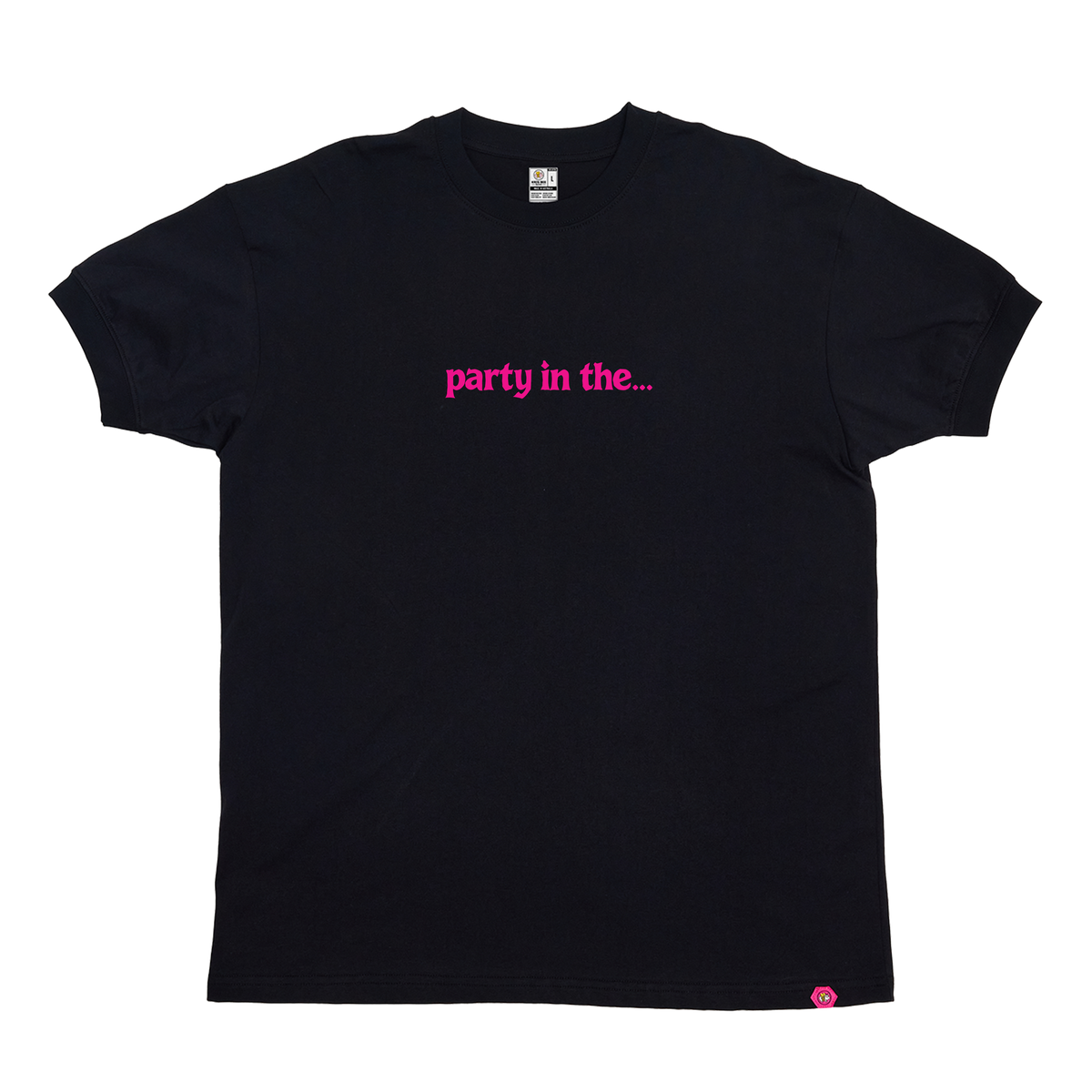 Party in the... T-Shirt