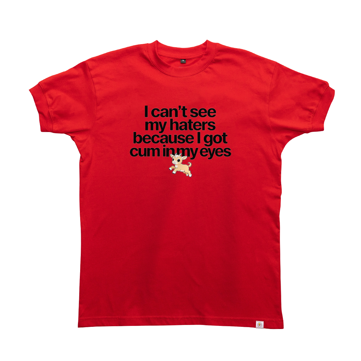 I can't see my haters T-Shirt
