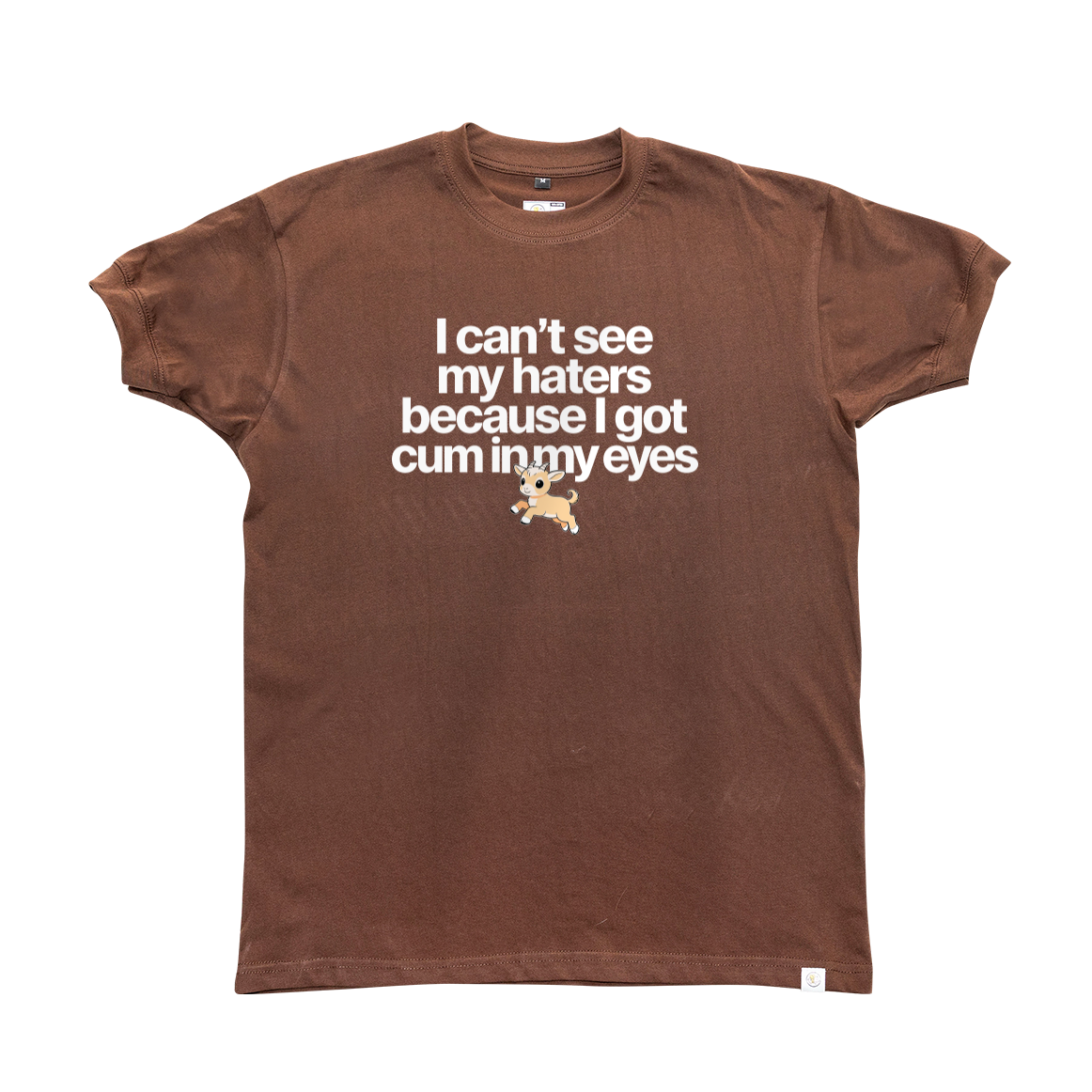 I can't see my haters T-Shirt