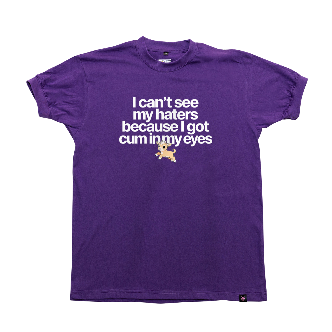 I can't see my haters T-Shirt