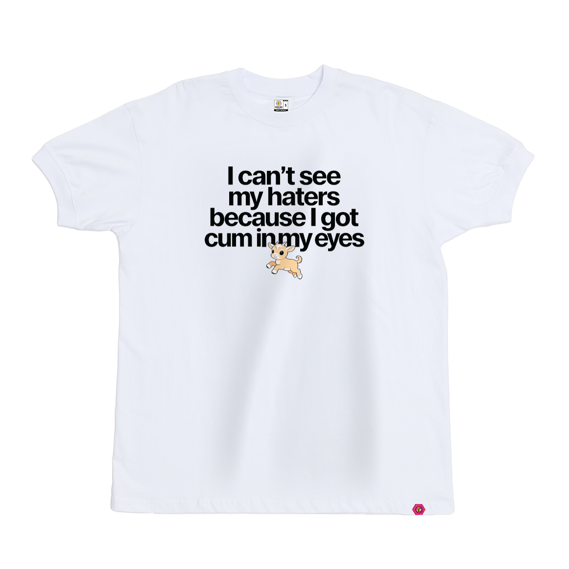 I can't see my haters T-Shirt