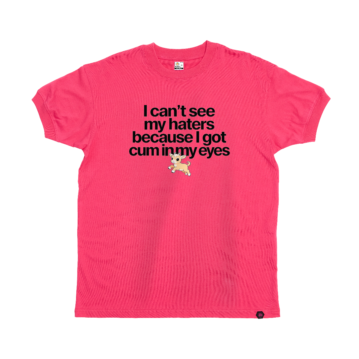 I can't see my haters T-Shirt
