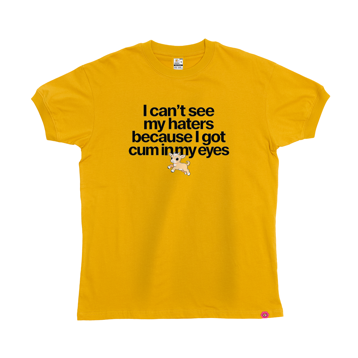 I can't see my haters T-Shirt