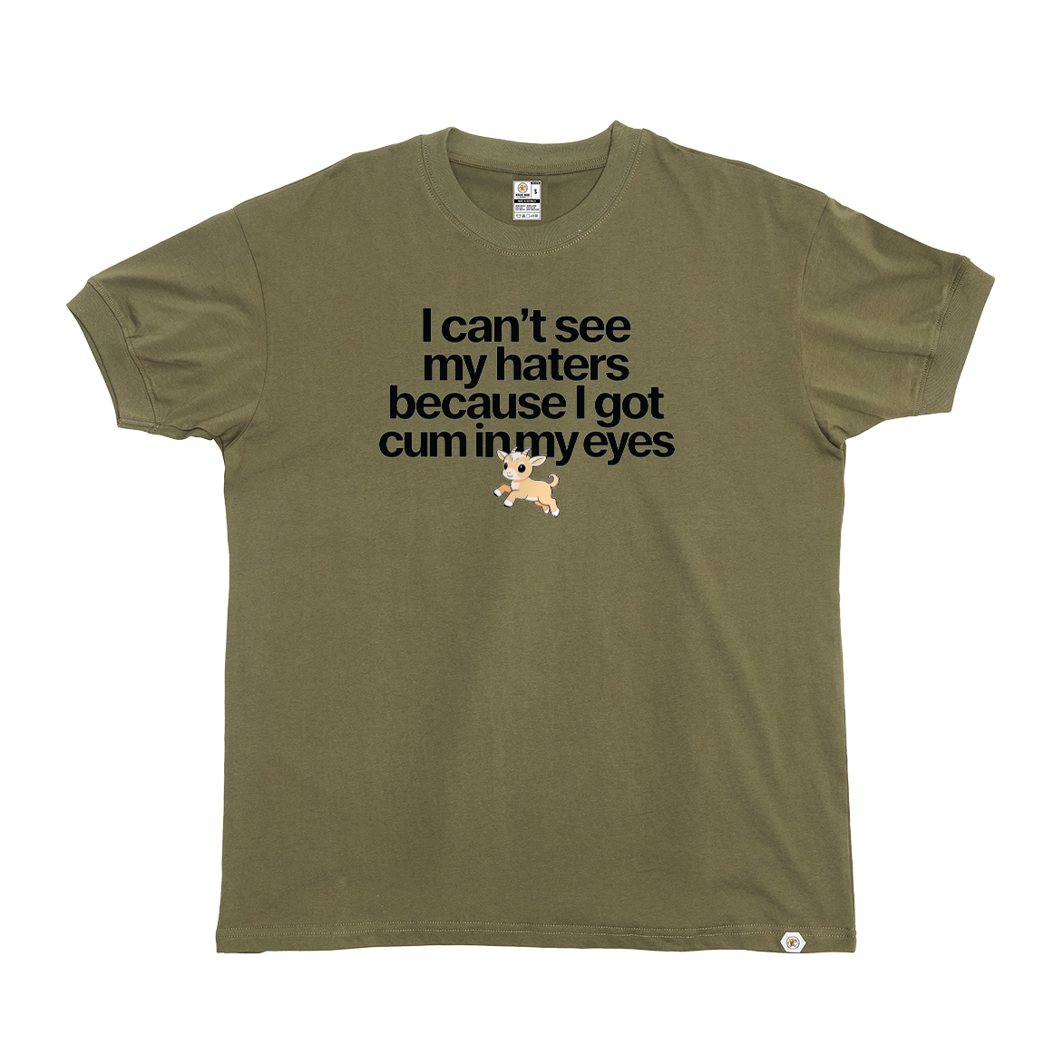 I can't see my haters T-Shirt
